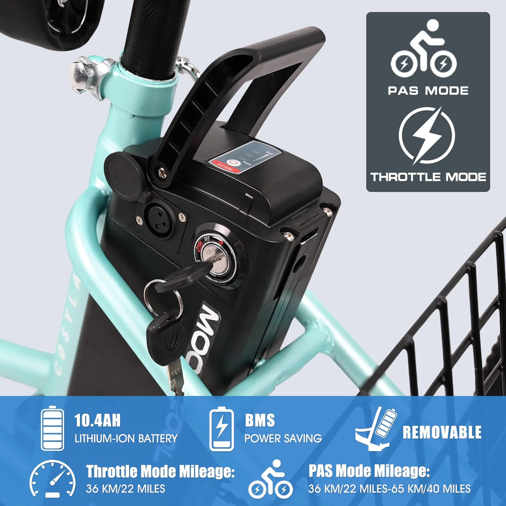 Electric Tricycle with Removable Lithium Battery E995