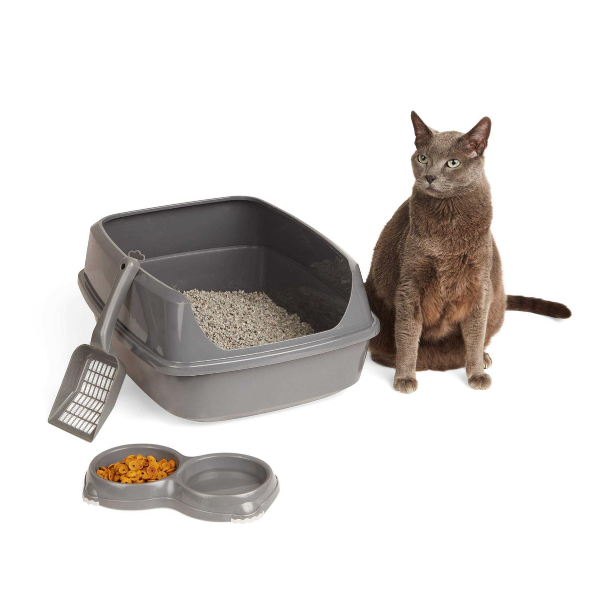 Grey Litter Box Starter Bundle U364208