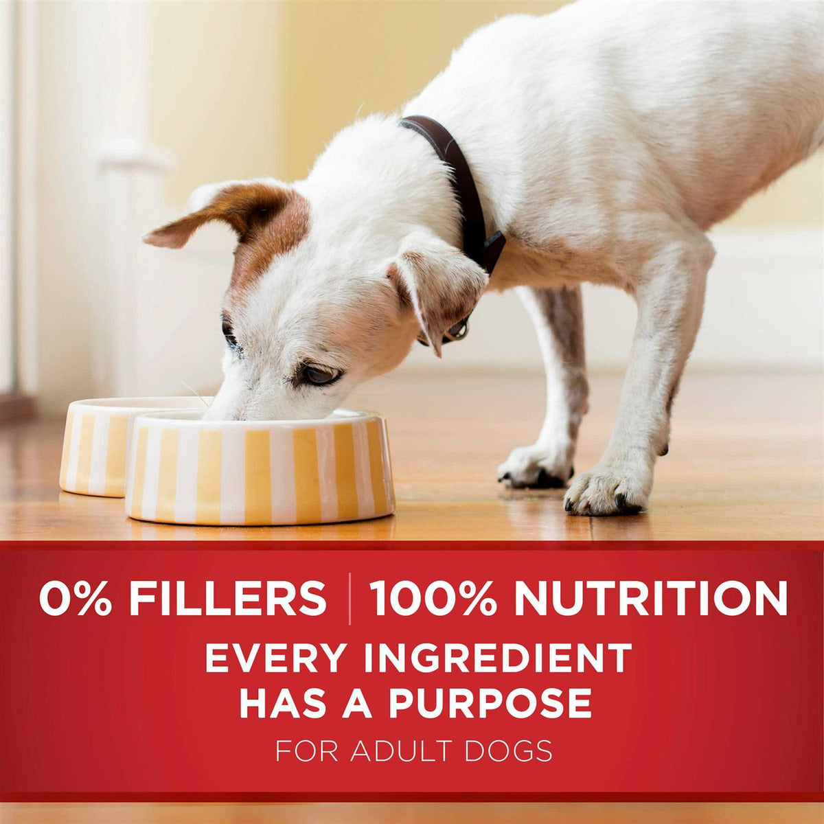 Chicken and Brown Rice Wet Dog Food P7305