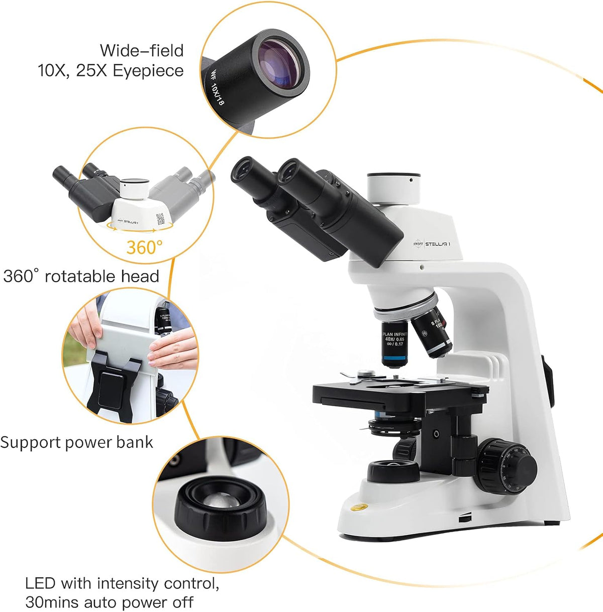Research-Grade Infinity Corrected Compound Microscope, 40X-2500X Magnification W660625