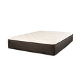 King Firm Hybrid Mattress Y67190