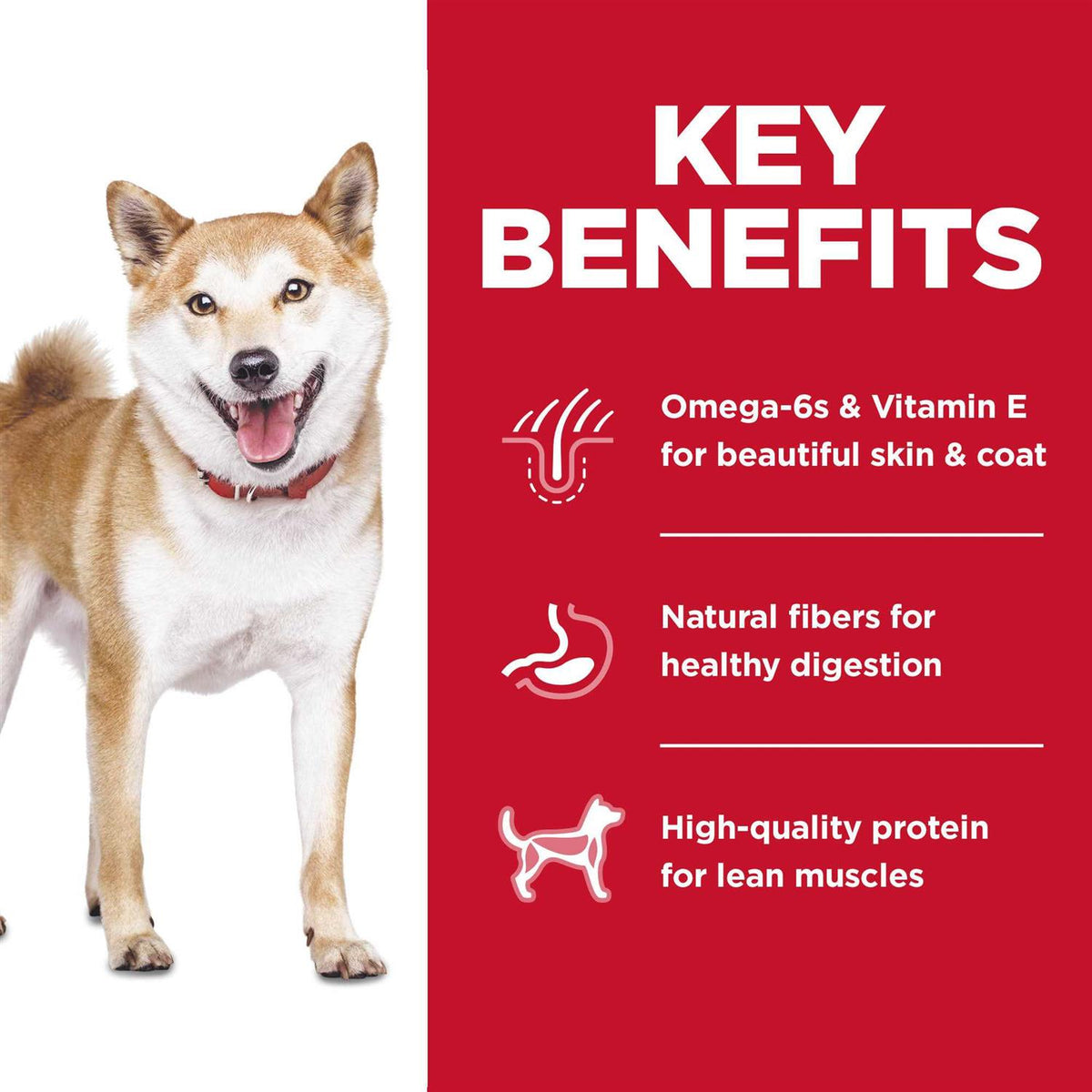 Chicken Dry Dog Food A870044