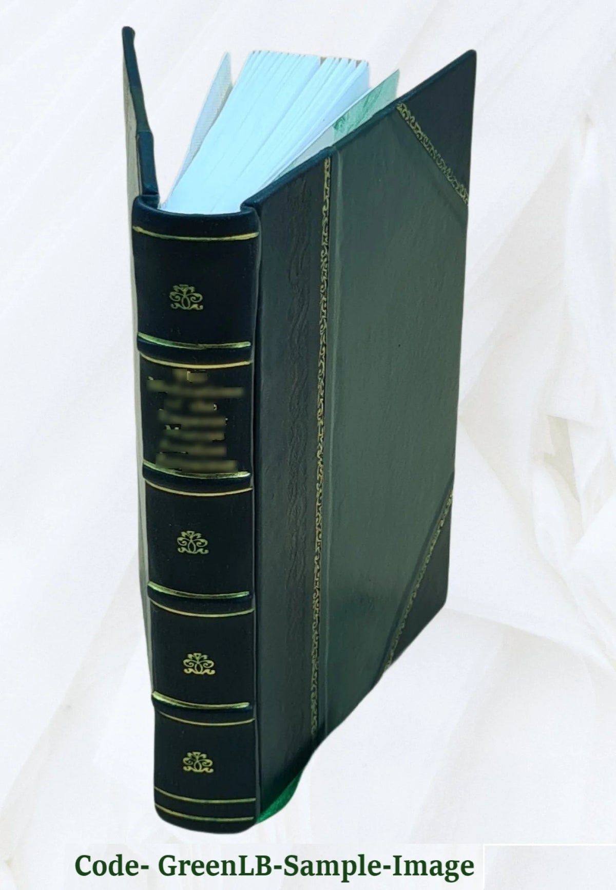 Leather Bound G8842