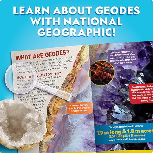 15 Premium Geodes Science Kit S206633