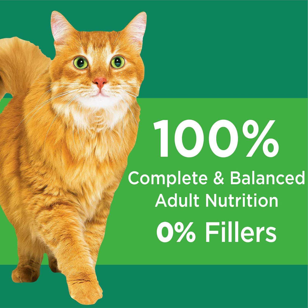 Senior Dry Cat Food E1548