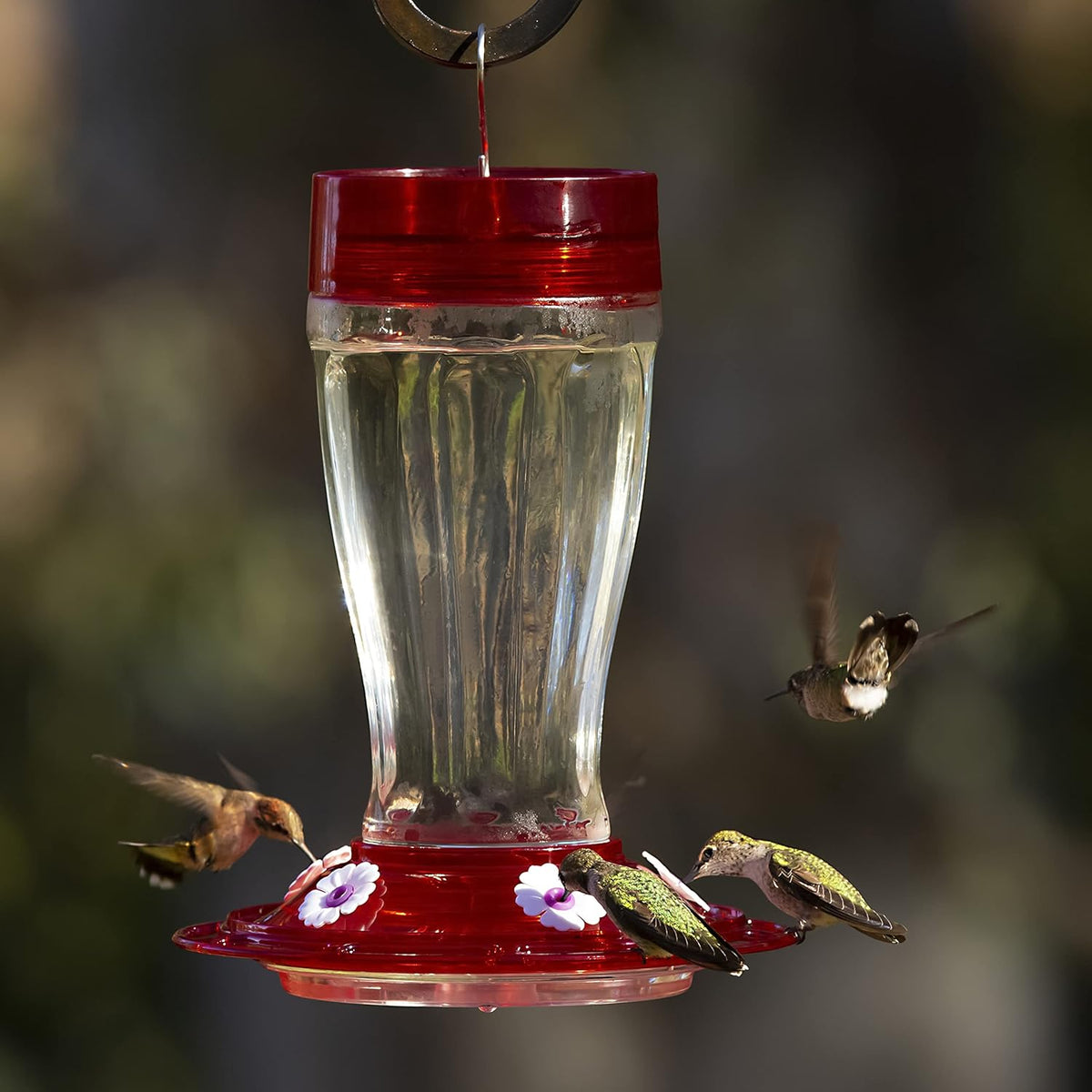 Glass Hummingbird Feeder, 5 Feeding Stations, 40 Ounces Y1376