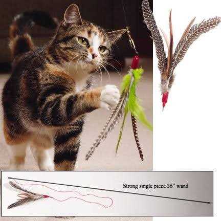 Cat Toy D201