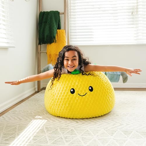 Classic Bean Bag Chair, Sapphire Smartmax, 2 feet Round U966