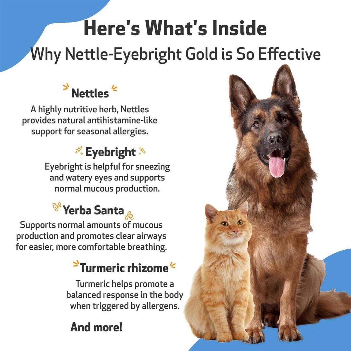 Nettle Eyebright for Dogs N549