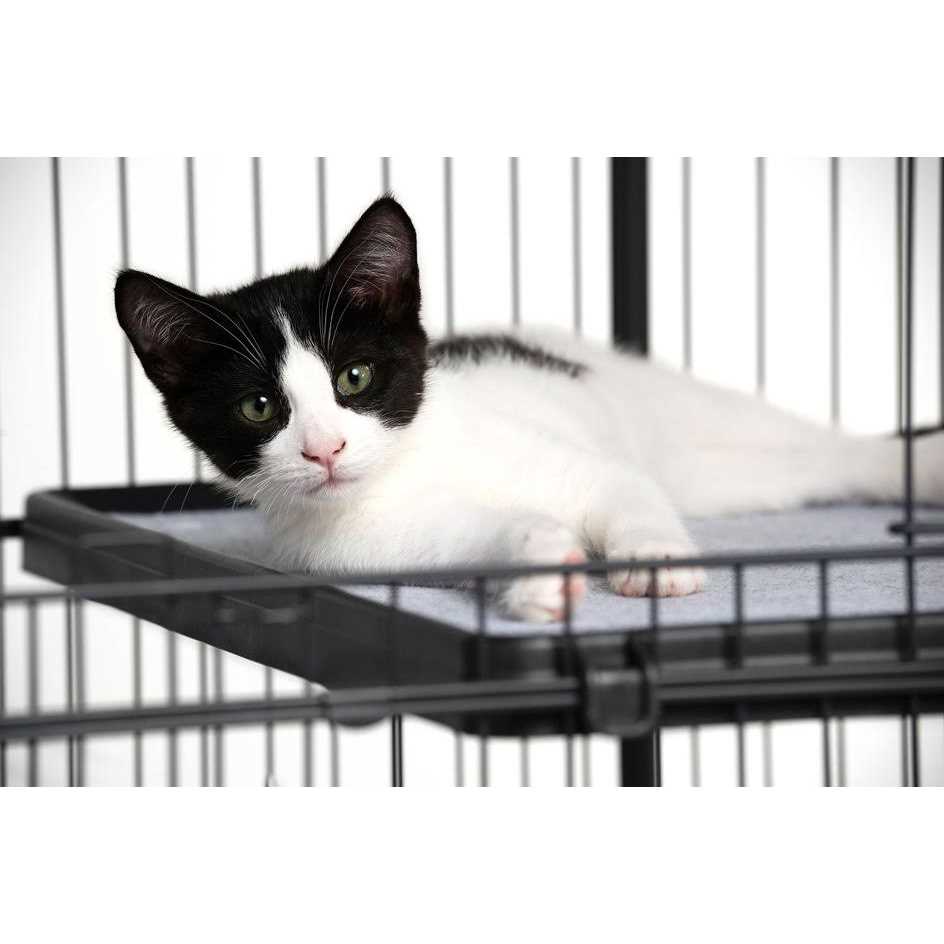 Replacement Platform Shelf for Cat Cages T727