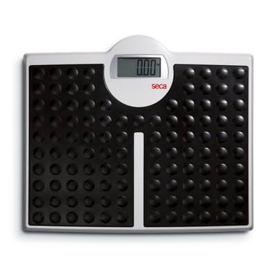 Digital Flat Scale with 440 lbs. Capacity F8056