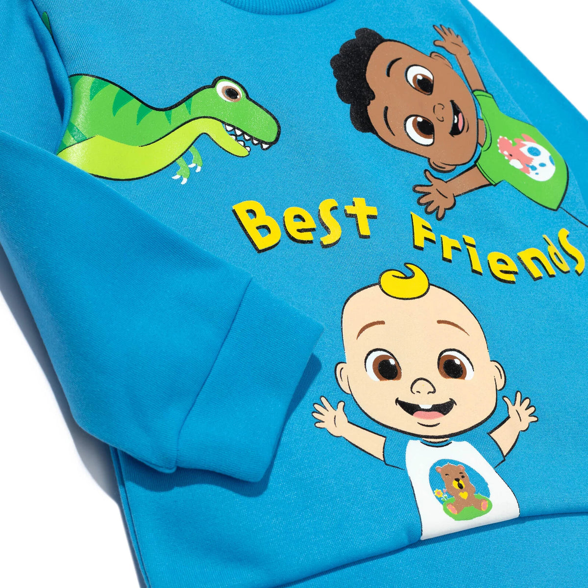 Toddler Boys Fleece Pullover Sweatshirt and Pants Set A802055