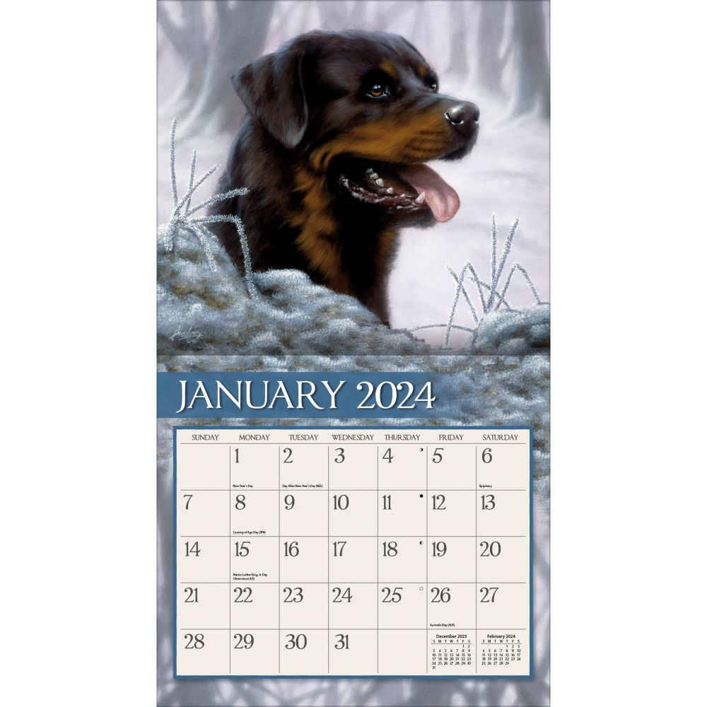 Love Of Dogs 2024 Wall Calendar I1105