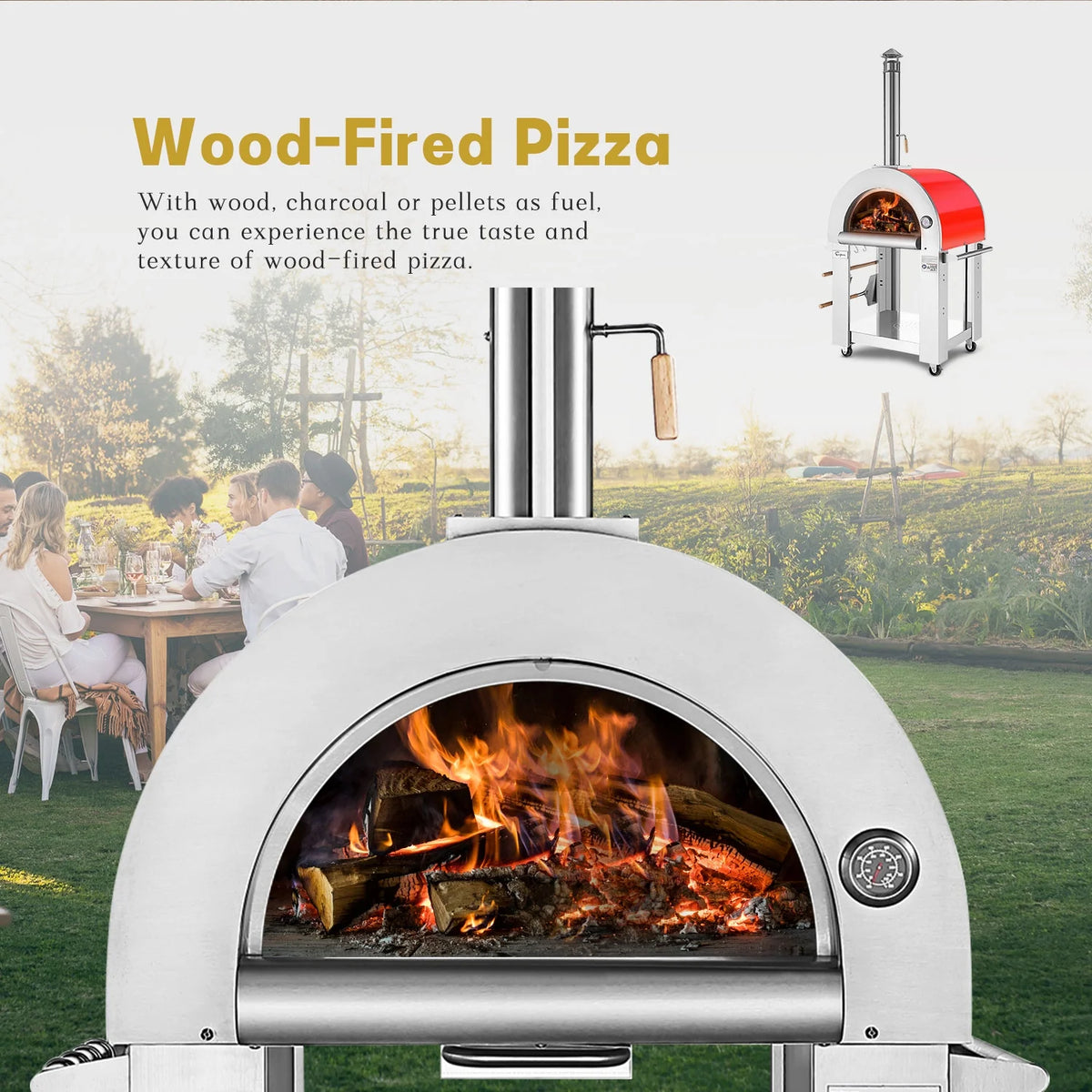 Wood Burning Outdoor Pizza Oven in Stainless Steel C57569
