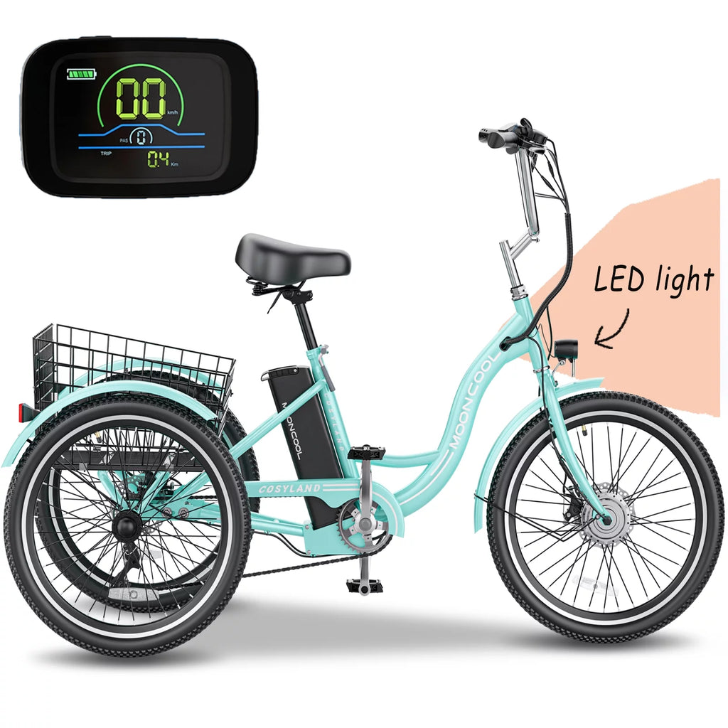 Electric Tricycle with Removable Lithium Battery E995