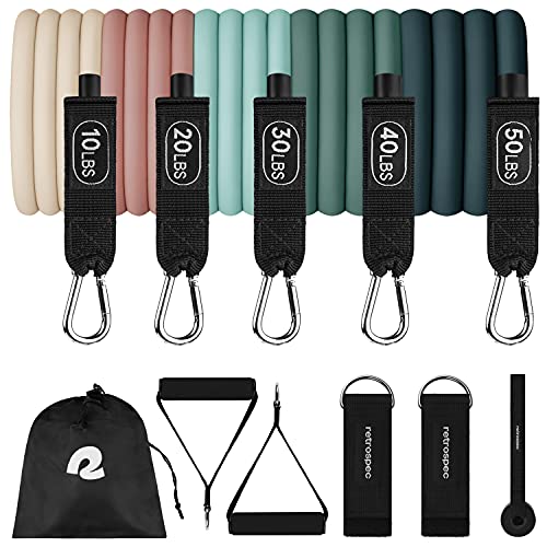 Resistance Bands Set 5pc with Handles, Door Anchor, Carry Bag R2443