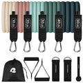Resistance Bands Set 5pc with Handles, Door Anchor, Carry Bag R2443