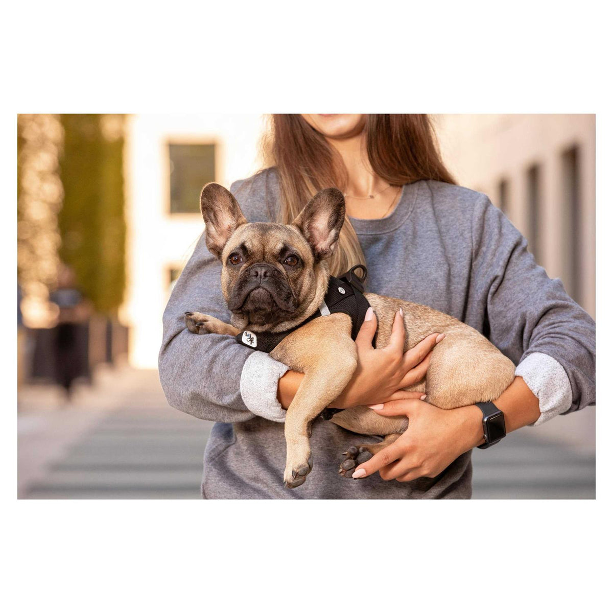 Air-Mesh Dog Harness U122