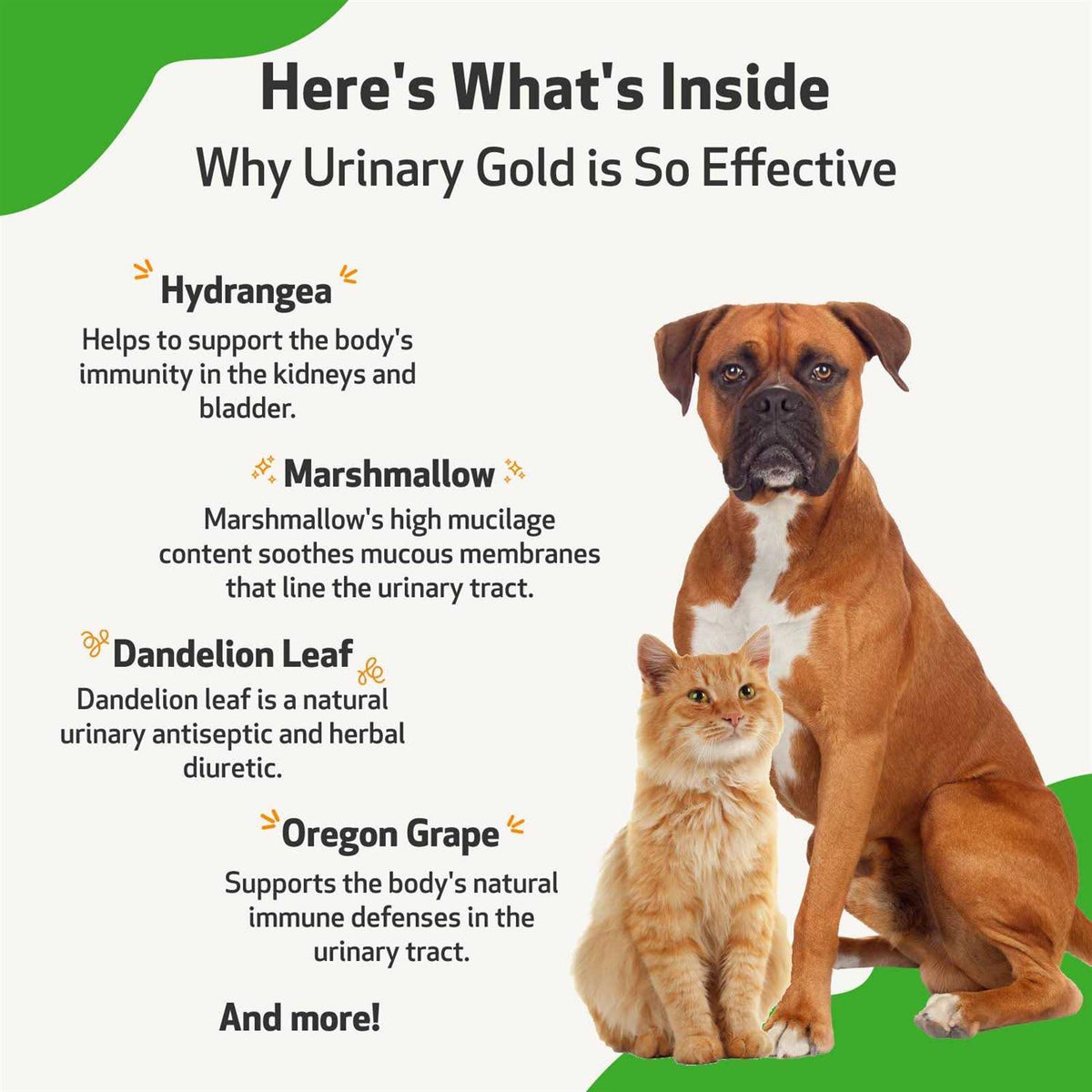 Urinary Tract Health Pet Supplies R21801