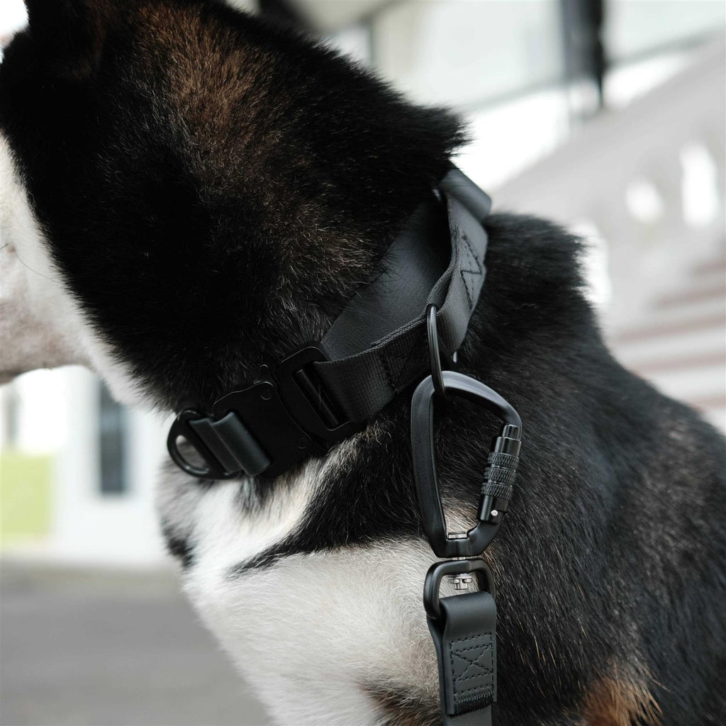 Waterproof Martingale Collar J8585