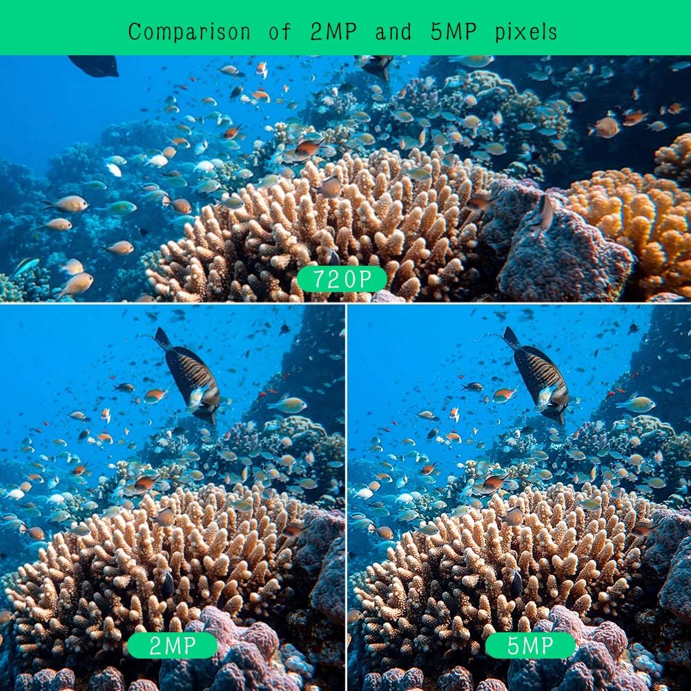 5MP Underwater Camera with 10M Cable D439