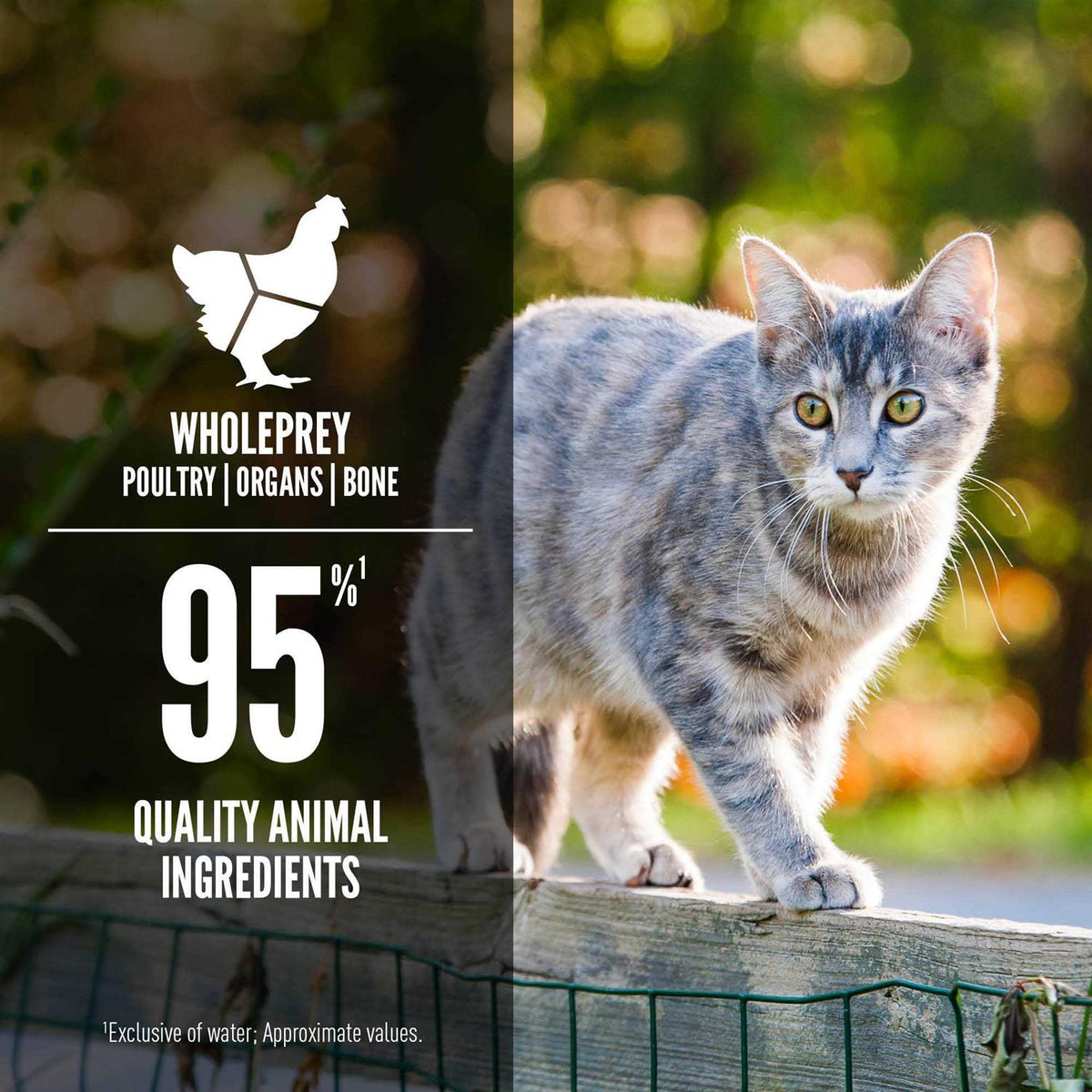 Wet Cat Food X309128