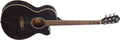 Black Dreadnought Acoustic Electric Guitar U814293