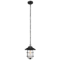 Matte Black Seeded Glass Pendant T22881