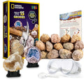 15 Premium Geodes Science Kit S206633