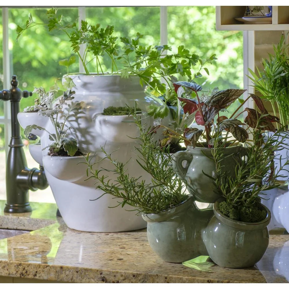 8 Pocket Ceramic Strawberry Planter in White U840