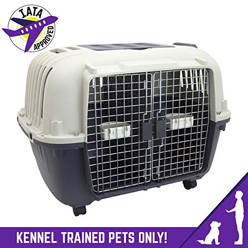 Large Gray Plastic Dog Crate G1562