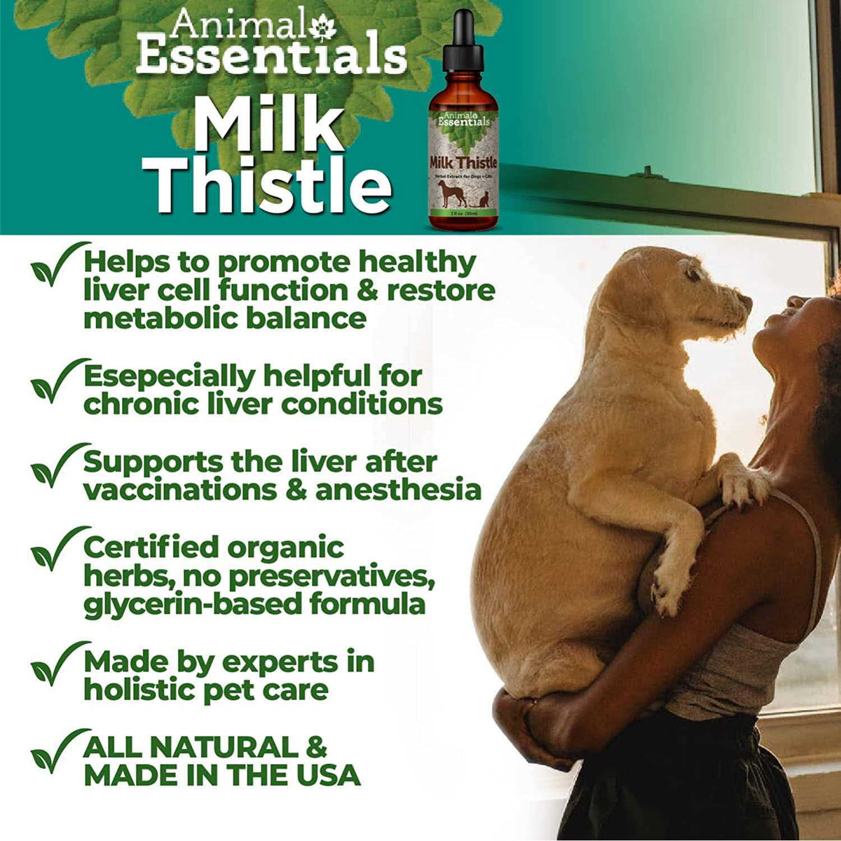 Milk Thistle O126