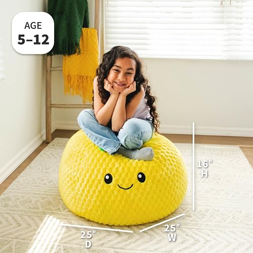 Classic Bean Bag Chair, Sapphire Smartmax, 2 feet Round U966
