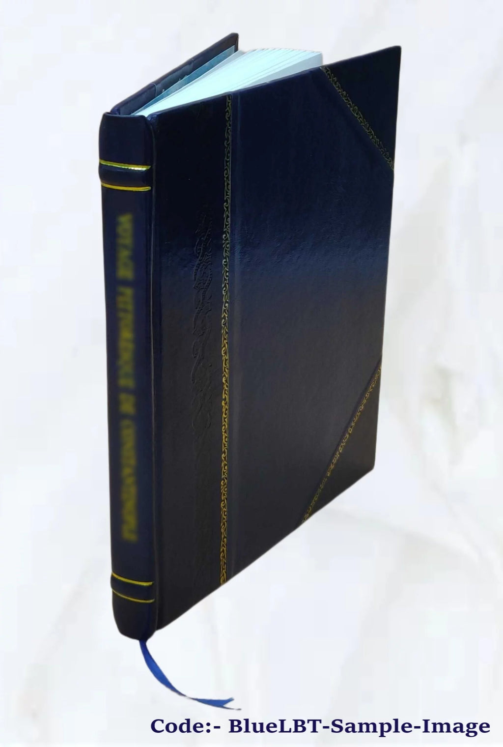 1917 Leather Bound Volume E201