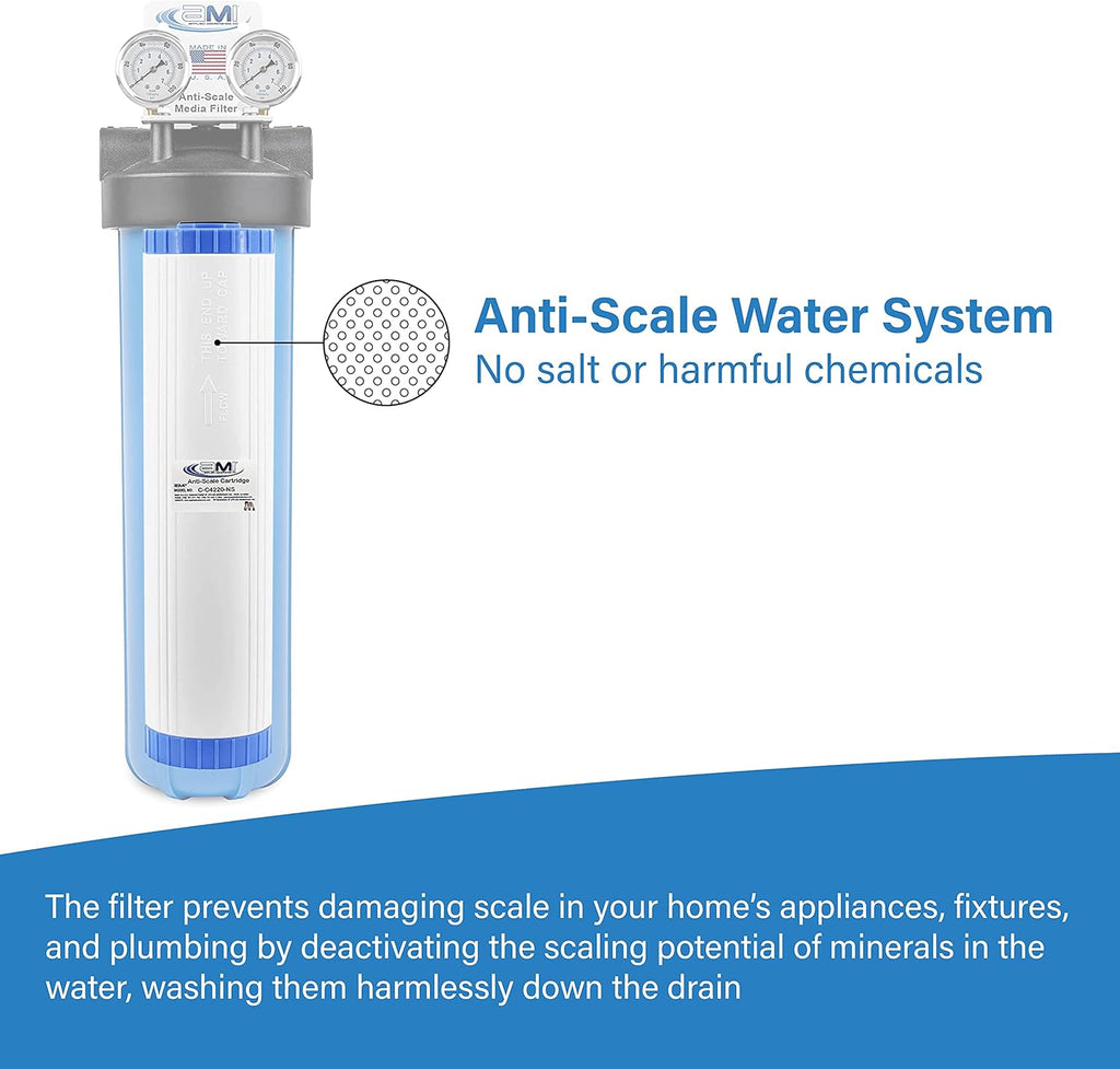 Anti-Scale System with 4.5x20 Filter I86131