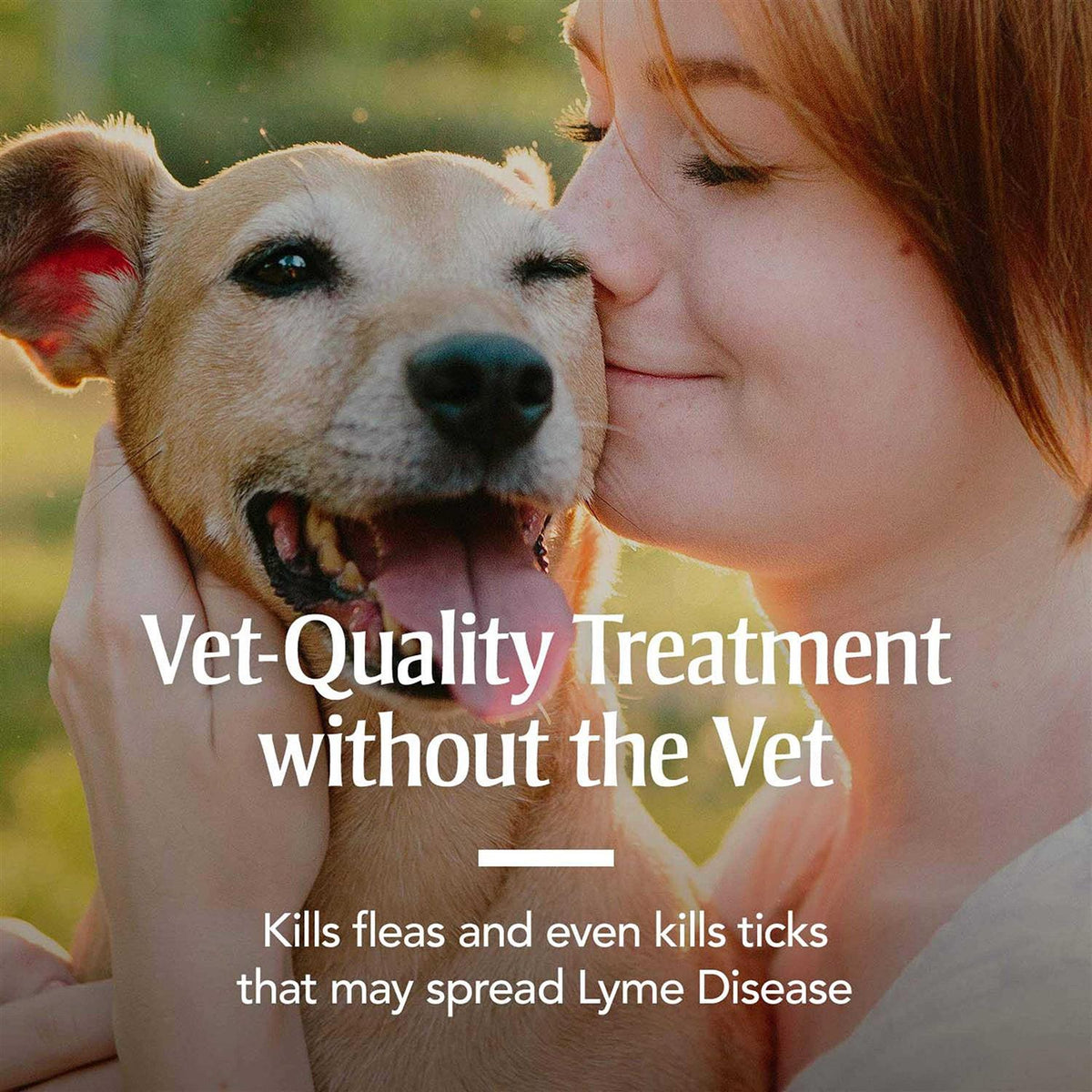 Flea & Tick Collar for Dogs K84290