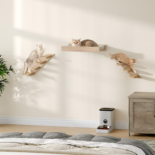 Wood Wall Mounted Cat Wall Shelves Set of 2 K328054