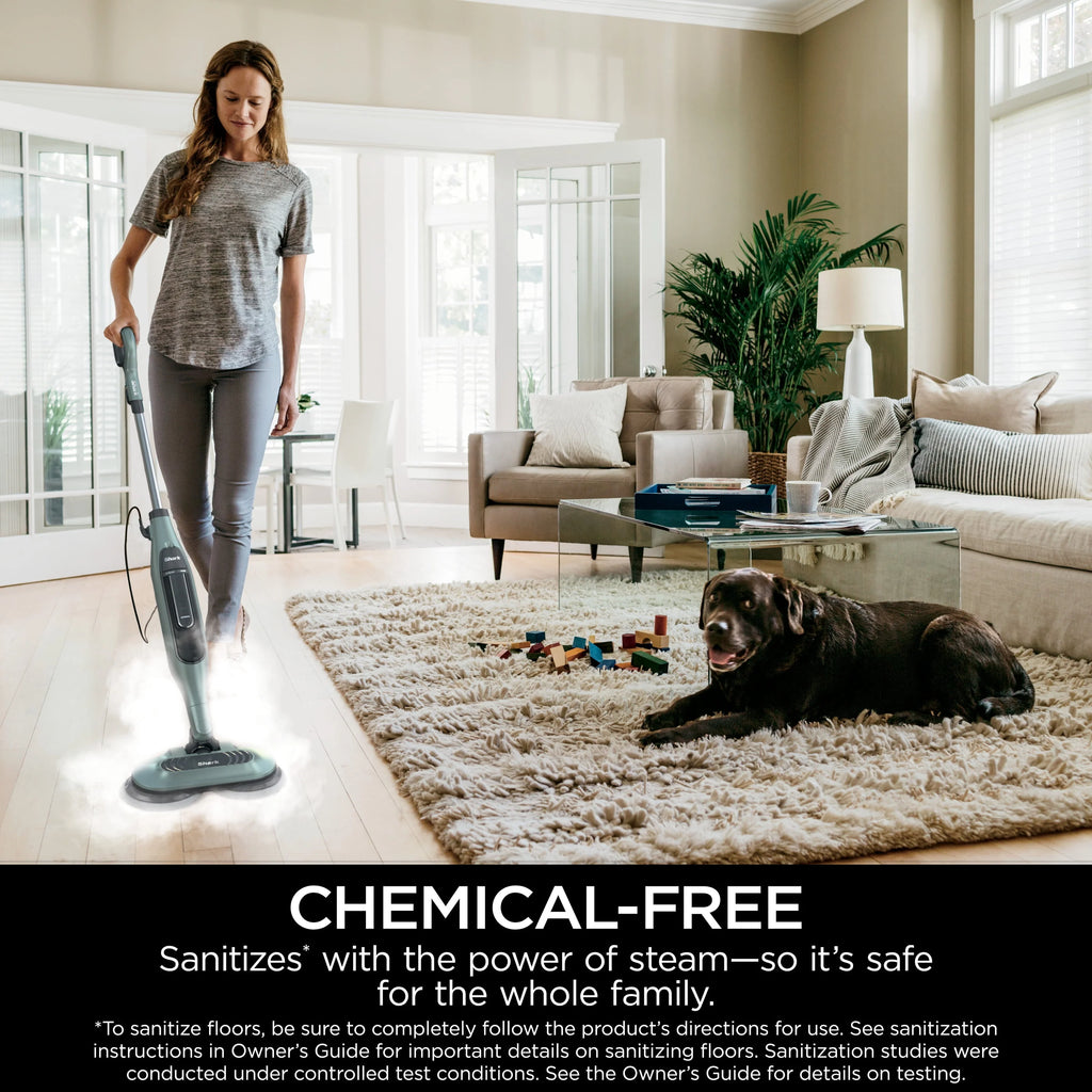 Steam Mop D193