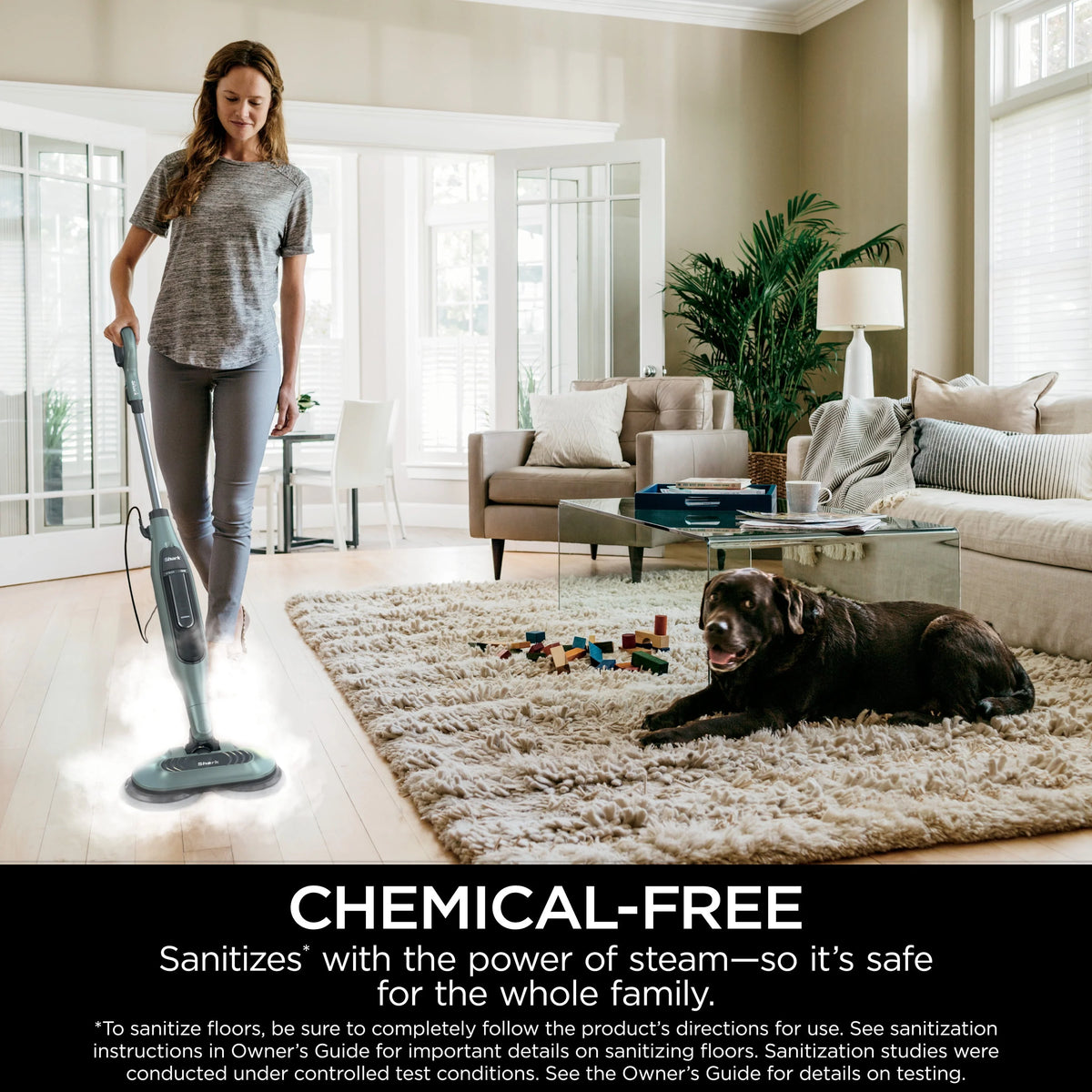 Steam Mop D193