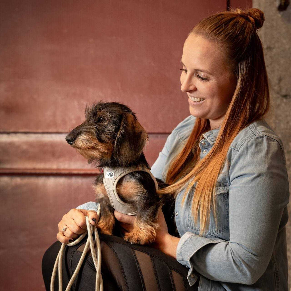 Air-Mesh Dog Harness U122