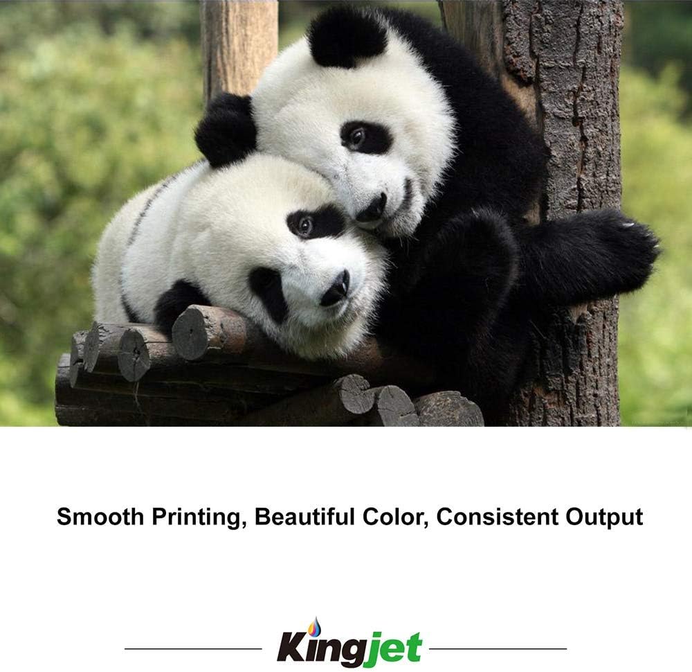 2 Black Ink Cartridge Pack of 2 G186