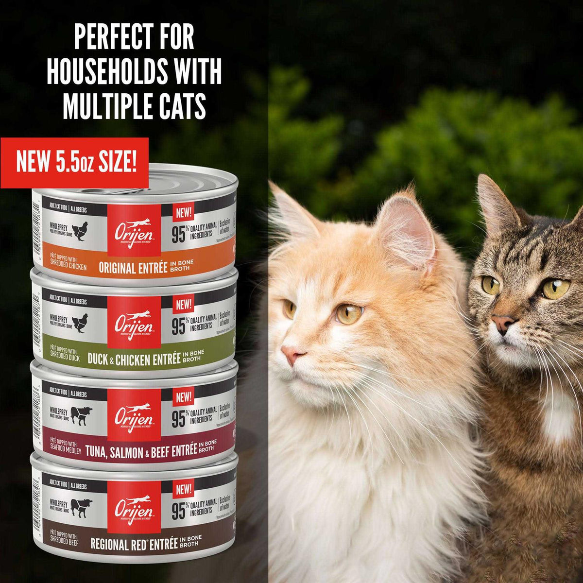 Wet Cat Food X309128