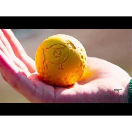 Goat Sport Ball Dog Toy R524