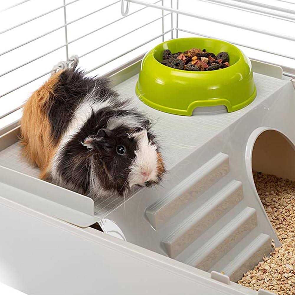 Guinea Pig Cage Z151749