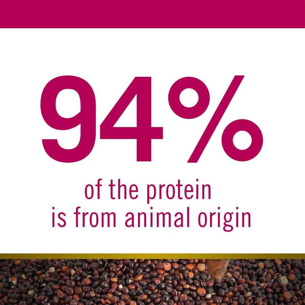 Quinoa Dog Food H244