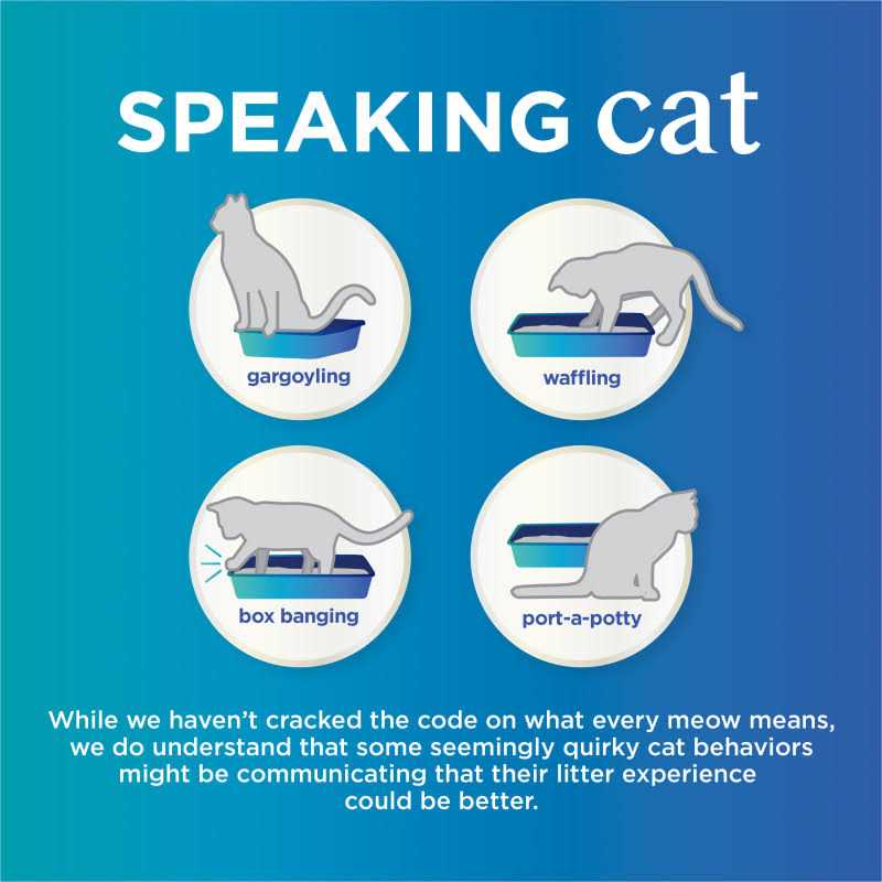 Unscented Clumping Cat Litter N44667