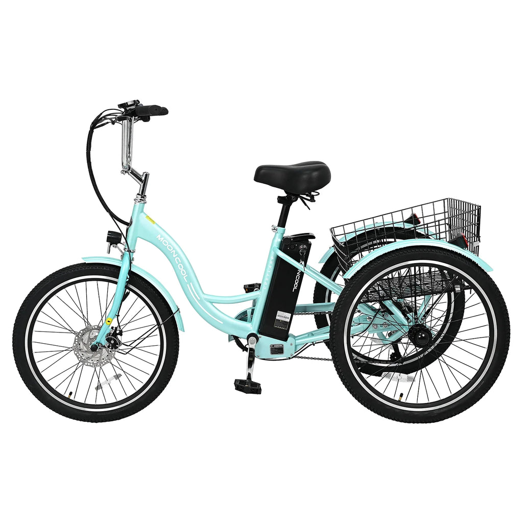 Electric Tricycle with Removable Lithium Battery E995