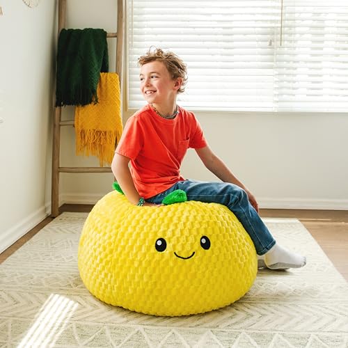 Classic Bean Bag Chair, Sapphire Smartmax, 2 feet Round U966