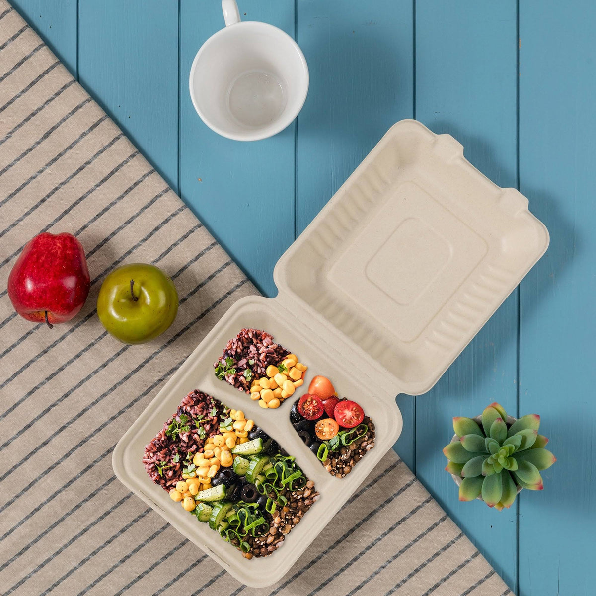 10 inch Natural Compostable Sugarcane Sectional Clamshell Containers, 300 Pack P24228