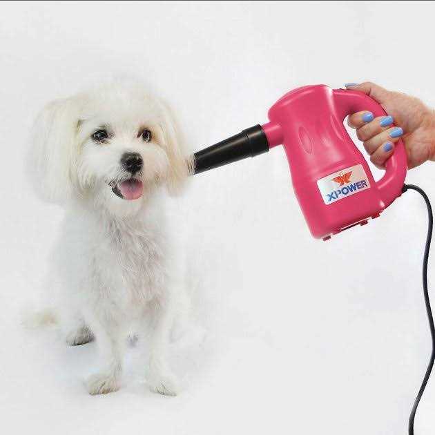 Multipurpose Pet Dryer J597